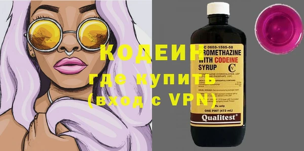 хмурый Абаза