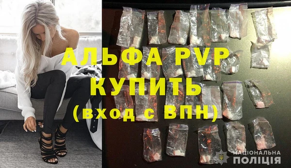 хмурый Абаза