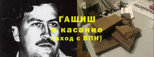 хмурый Абаза