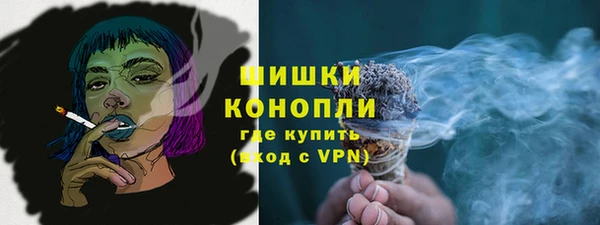 хмурый Абаза