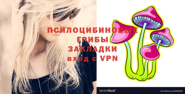 хмурый Абаза