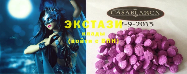 хмурый Абаза