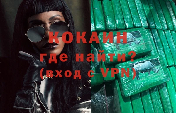 хмурый Абаза