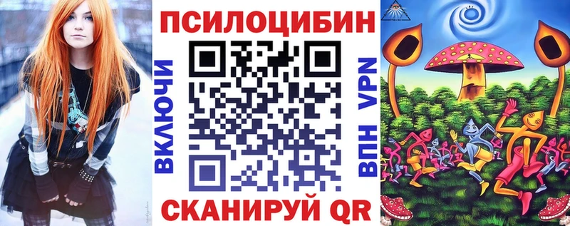как найти закладки  Западная Двина  ссылка на мегу как зайти  Псилоцибиновые грибы Cubensis 